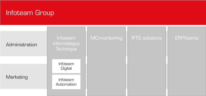 Infoteam Group structure